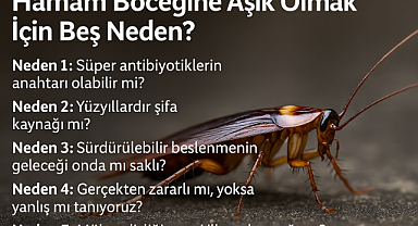 Yoksa siz hamam böceğinden iğreniyor musunuz? Hamam böceğine aşık olmak için beş neden