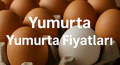 Yumurta Fiyatları güncel tablo