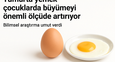 Yumurta Yemek, Küçük Çocuklarda Büyümeyi Önemli Ölçüde Artırıyor