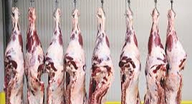 20 Mayıs 2025 Güncel Et Karkas Fiyatları: Dana, Düve ve İnek Karkas Etin Kilosu Kaç TL Oldu?