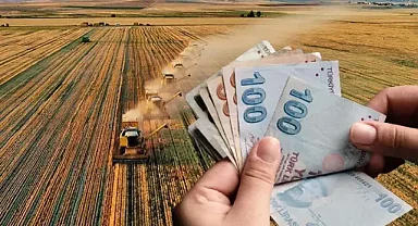 Çiftçilerin dört gözle beklediği müjde geldi! Paralar hesaplarda