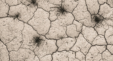Korkutan Deprem! Öğrenciler Geceyi Dışarıda Geçirdi