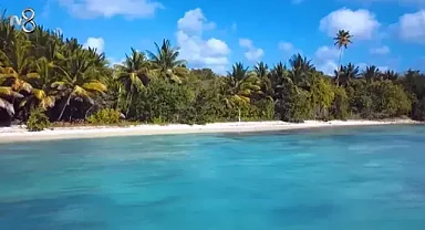 Survivor All Star 2025’te 24 Mayıs Eleme Adayı Kim Oldu? 1. Dokunulmazlığı Hangi Takım Kazandı?