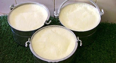 Eğer Böyle Değilse Ona Köy Yoğurdu Demeyin: Köy Yoğurdu Özellikleri, Tadının ve Görünüşünün Farkı, Tarif