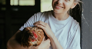 Et Tavukçuluğu mu Yumurta Tavukçuluğu mu Daha Karlı? Detaylı Analiz ve Karşılaştırma (2025)
