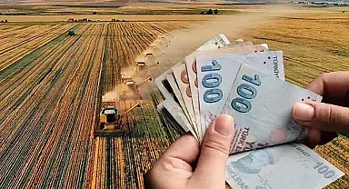 Flaş Duyuru: Bitkisel Ürün Sigortası Desteği Çiftçilerin Hesaplarına Aktarılıyor!