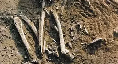 İnsanlık Tarihini değiştirecek gelişme! bulunan 6.000 Yıllık İskeletler Bilim Dünyasını Şoke Etti