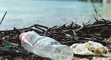 Kolibasili Nedir? Tehlikeleri, Sağlığa Zararları, Nerelerde Bulunur ve Nasıl Anlaşılır?