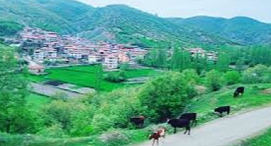 Amasya’nın en ünlü köyleri: İsimlerinin kökeni, tarihçesi ve güncel demografik bilgileri