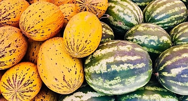 Kavun mu Karpuz mu Daha Yararlı? Vitamin, Mineral ve Besin Değerleri Karşılaştırması