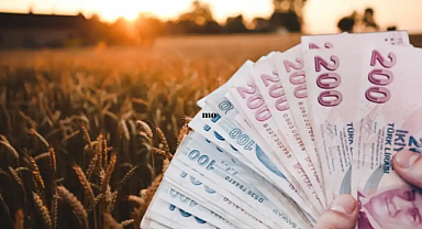 Üreticilere Büyük Destek: TMO Ödemeleri Başladı mı, Hesaplara Ne Kadar Para Yatırıldı? 