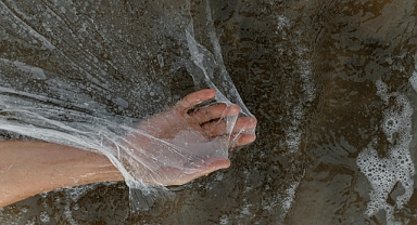 Vibrio Bakterileri Nedir? riskleri nelerdir?