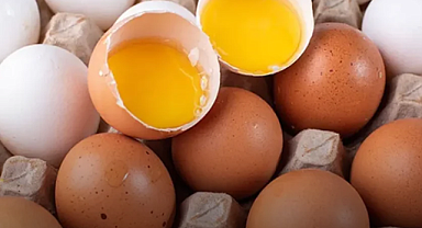 Yumurta Alışverişinde Yeni Dönem: Artık Tüketim Tarihlerine Nasıl Bakmalıyız?