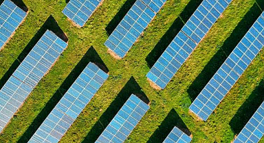 Agrivoltaik Tarım Nedir? Geleceğin Tarım ve Enerji Çözümü Olabilir mi?