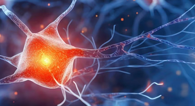 Beyin Nasıl Öğrenir? Yeni Çalışma Beklenmedik Bir Gelişmeyi Ortaya Koyuyor Mu?