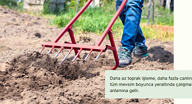 Çiftlikte Besin Döngüsü Nedir? Hemen Uygulamanız Gereken 5 Etkili Yöntem Nelerdir?