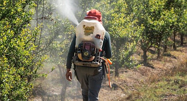 Fumigasyon Nedir? Tarımda ve Depolarda Fumigasyon Nasıl Yapılır?