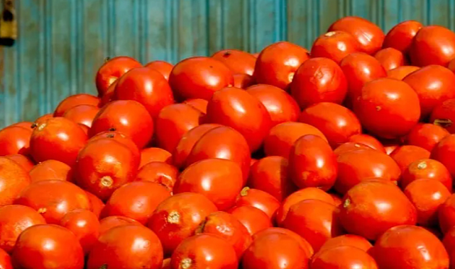 Organik Tarım Nedir? Avantajları, Türleri ve Sürdürülebilir Geleceği