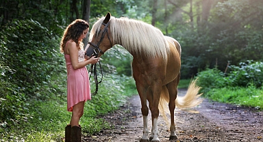Seçici yiyen spor atınızın yeterli kalori almasını nasıl sağlarsınız?