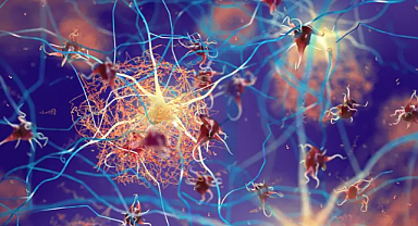 Bilim İnsanlarından Alzheimer'a Karşı Yeni Model: SHIELD Nedir?