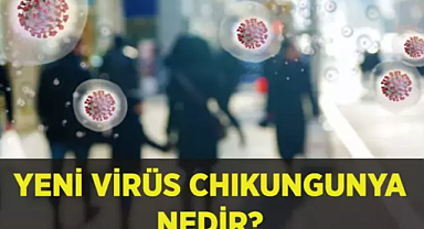 ÇİN'DE VİRÜS BÜYÜYOR! Chikungunya Virüsü nedir, nasıl bulaşır, belirtileri nelerdir ve nasıl tedavi edilir?
