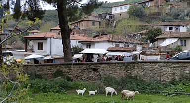 İzmir'in Saklı Cennet Köyleri Nereler? Köy Haberleri ile Doğa ve Kültür Turu 