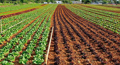 Tarım Uydu Görüntüleme Nedir ve Tarıma Katkıları Nelerdir?