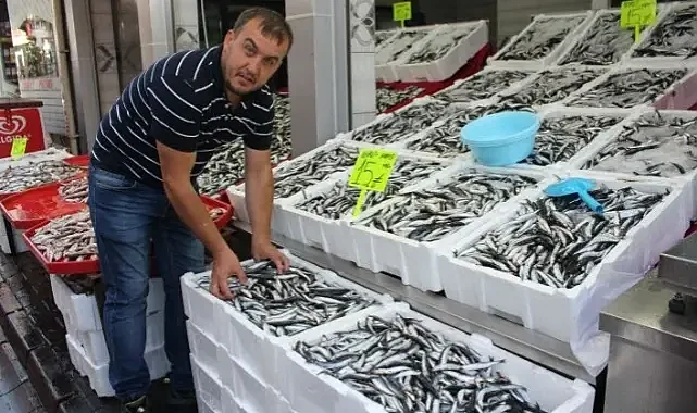 Hangi balık en ucuz? Kilosu 40 liraya düştü