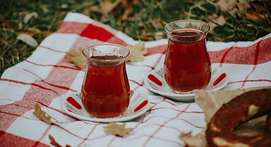 ÇAY ÜRETİCİSİNE MÜJDE: 2026 Çay Budama Tazminatı Belli Oldu!
