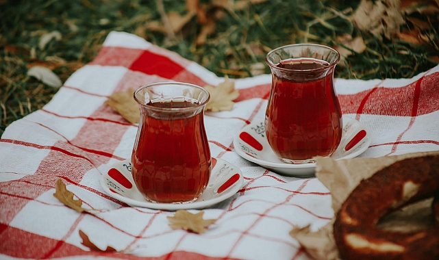ÇAY ÜRETİCİSİNE MÜJDE: 2026 Çay Budama Tazminatı Belli Oldu!