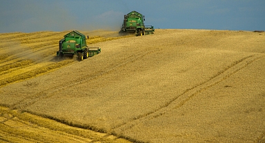Sert Buğday, Ekmeklik Buğday, Arpa, Mercimek ve Mısır Fiyatlarında Son Durum! 25 Aralık 2025