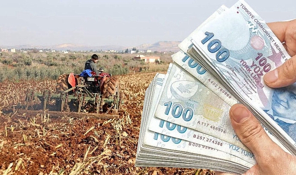 Tarımda çifte kazanç mümkün! Dikkat bunu yapan çiftçiye dekara 806 lira