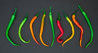 Acı Biber Hakkında İlginç Bilgiler: Capsicum'un Sıra Dışı Dünyası
