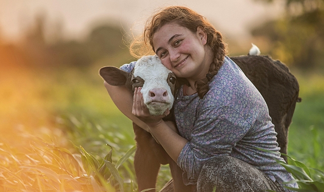 Holstein’dan Jersey’e Süt Dünyasının Yıldızları: Hangi İnek Irkı Sizin İçin Uygun?