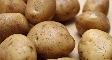 Patates ve Soğan Fiyatları 2026: Güncel Borsa ve Hal Rakamları Belli Oldu!