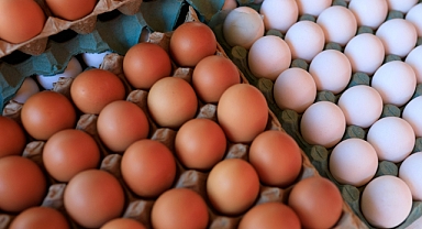 Ucuz yumurta almak isteyenler hangi marketten içeri girsinler? işte market market yumurta fiyatları