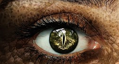 Reptilian Anlatısı: Gücün Mitolojisi