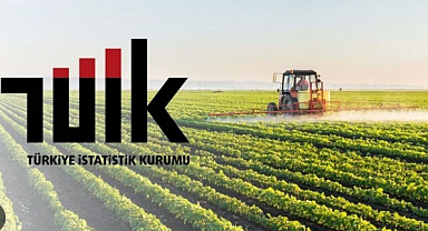 Tarım ÜFE Verileri Mutfak Enflasyonunu Nasıl Etkileyecek? Çiftçinin Maliyetindeki Bu Dev Artış Pazar Fiyatlarına Ne Zaman Yansır?