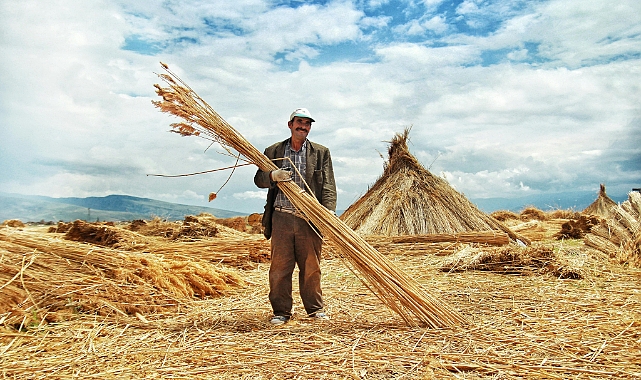 2026 Nisan Güncel Saman Fiyatları: Hayvancılıkta Bahar Ayı Hareketliliği