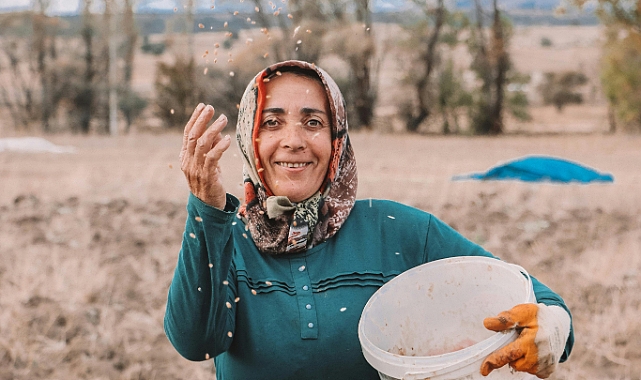 6 Nisan 2026 Güncel hububat Fiyatları: Arpa, buğday, mercimek, mısır