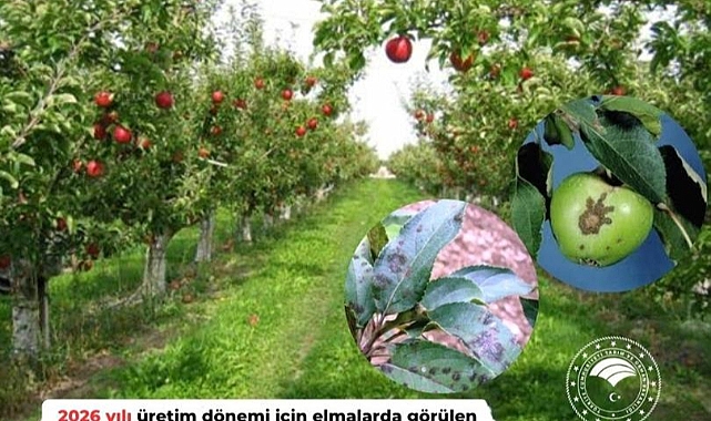 Afyonkarahisar'da Elma Üreticilerine Kritik Uyarı: Karaleke İçin 2. İlaçlama Zamanı