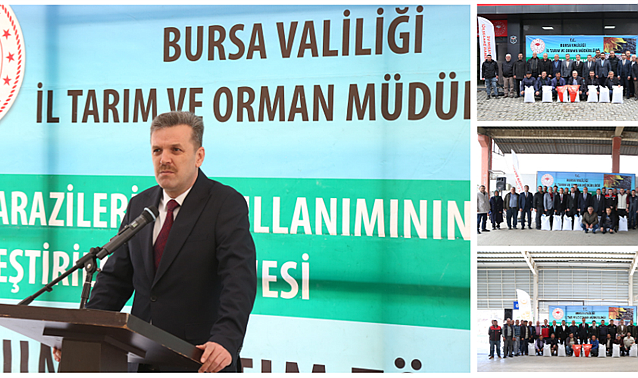 Bursa'da Yem Bitkileri Seferberliği: 7 Ton Sorgum Sudan Otu Tohumu Toprakla Buluşuyor