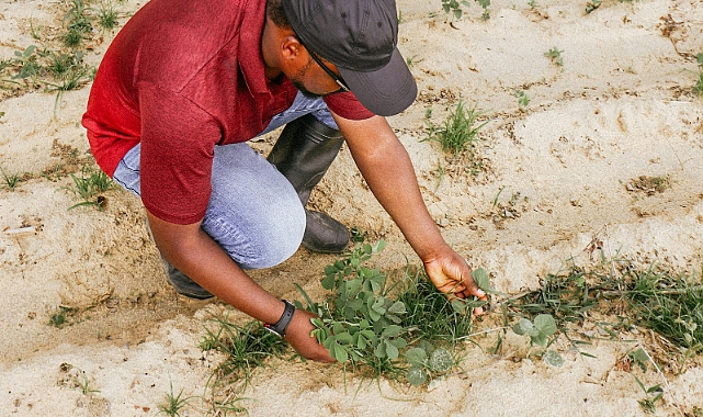 Doğal Tarım Nedir? Bilmeniz Gereken Her Şey