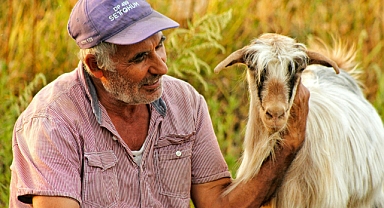 Etlik Keçi Yetiştiriciliğine Yeni Başlayanlar İçin Profesyonel Kontrol Listesi