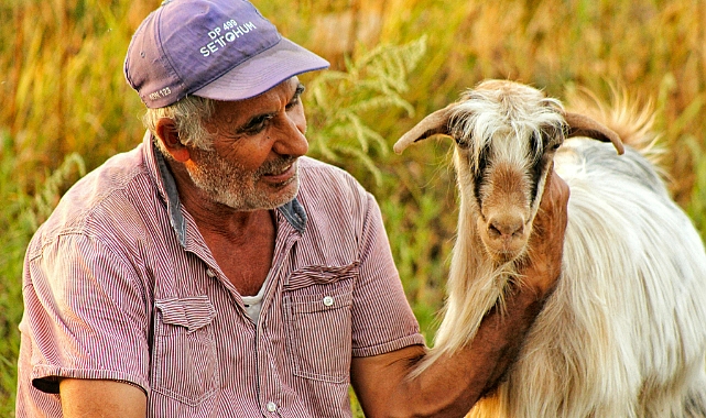 Etlik Keçi Yetiştiriciliğine Yeni Başlayanlar İçin Profesyonel Kontrol Listesi