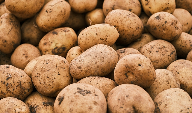 Patates Saklamanın 7 Pratik Yolu ve Uzun Süreli Muhafaza Yöntemleri