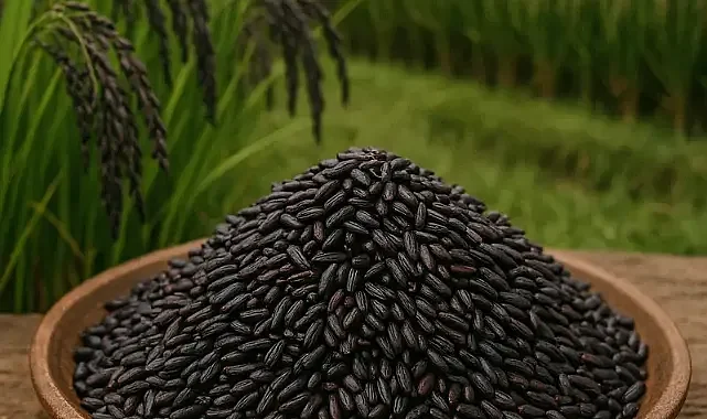 Siyah Pirinç Devrimi: