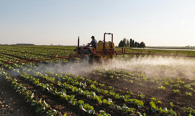 Temaslı mı, Sistemik mi? Haşere Kontrolünde Hangi İlaç Ne Zaman Kullanılmalı?