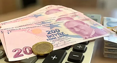 Vatandaşlık Maaşı Geliyor: Geliri Belirli Eşiğin Altında Kalana Devlet Desteği!