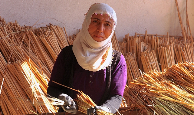 1 ton saman kaç TL? 2026 saman Fiyatı Ne Kadar? 1 ton yonca samanı kaç TL? 25 kiloluk saman balyası ne kadar?